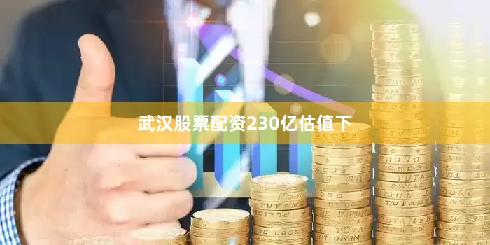 武汉股票配资　　2　　30亿估值下