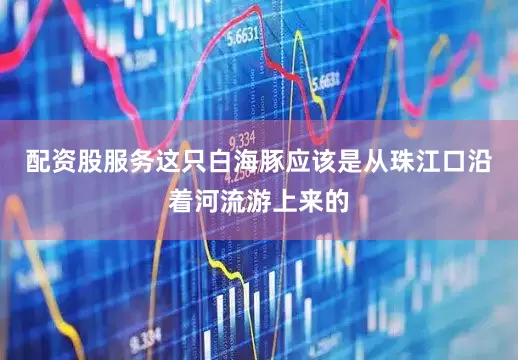 配资股服务这只白海豚应该是从珠江口沿着河流游上来的