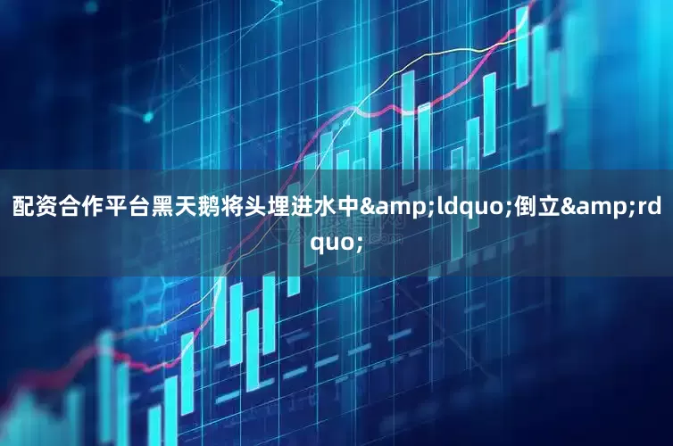 配资合作平台黑天鹅将头埋进水中&ldquo;倒立&rdquo;