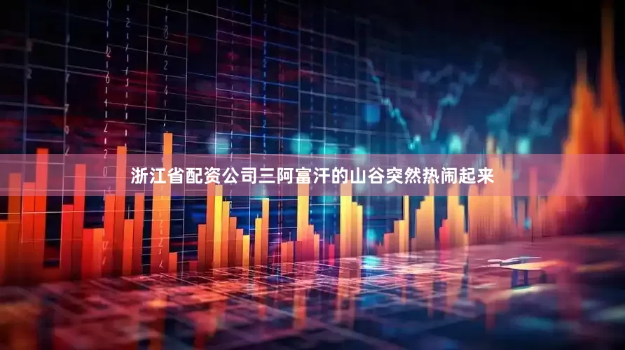 浙江省配资公司三阿富汗的山谷突然热闹起来