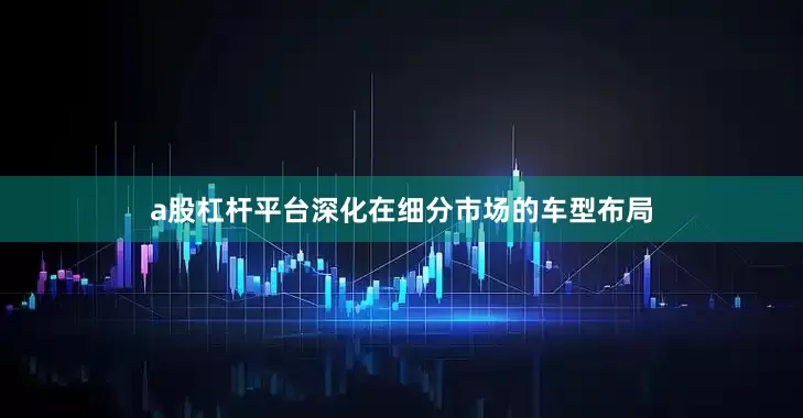 a股杠杆平台深化在细分市场的车型布局
